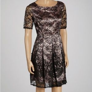 Julian Taylor lace dress, size 14, new